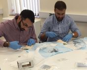 JuniorSurgeons