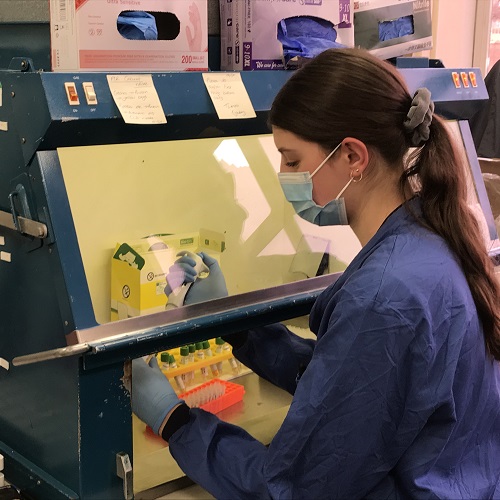 Female employee wearing a mask in the Laboratory