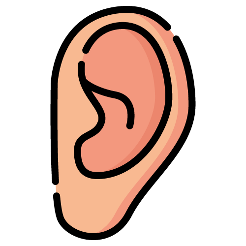 Cartoon ear