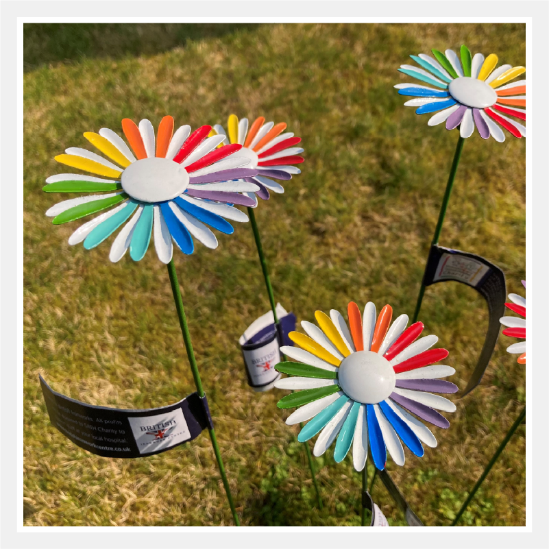 NHS Thank You Daisies