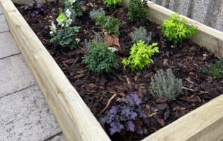 Raiseds Plant Beds with Lavender