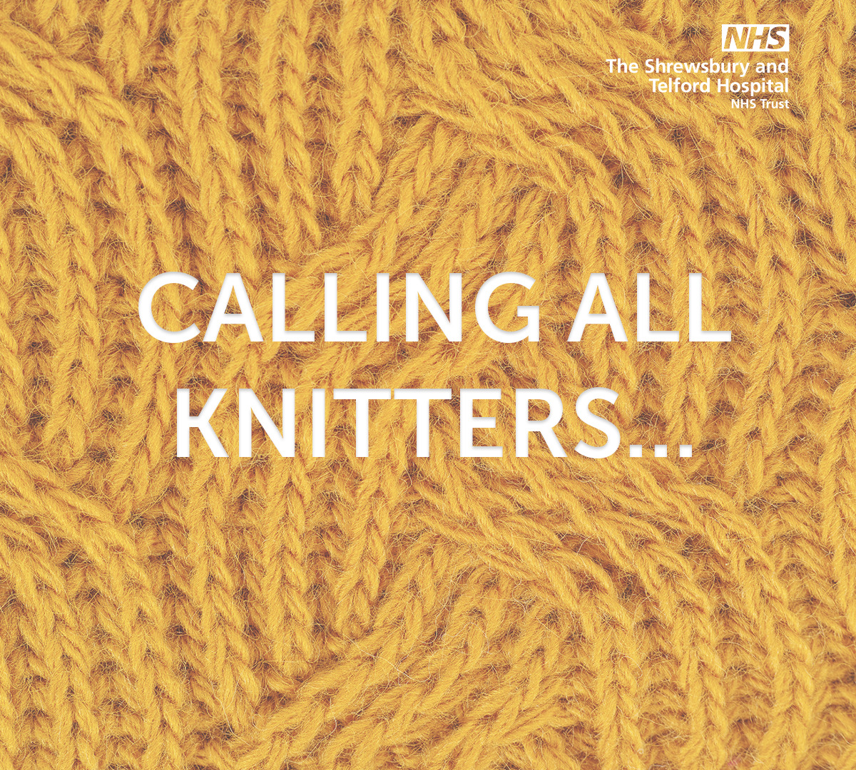 Calling all knitters Blankets wanted for patients at risk of falls SaTH
