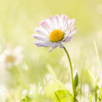 SATH Maternity Bereavement Care