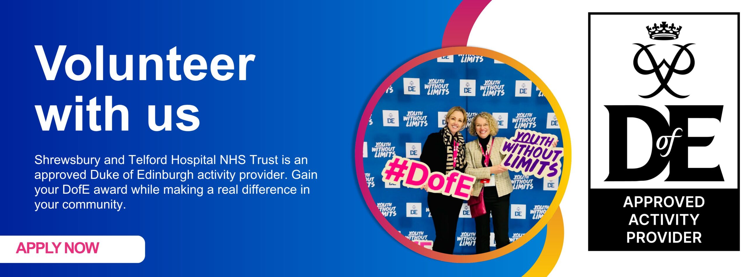 Vibrant Banner for Volunteer Duke of Ed (1)