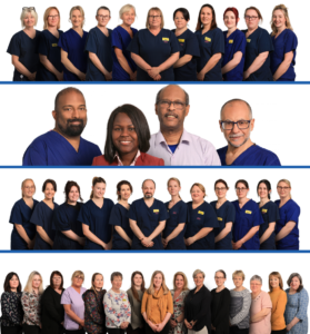 Fertility team
